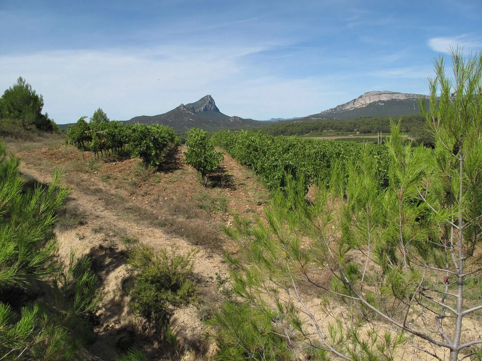coste_0295