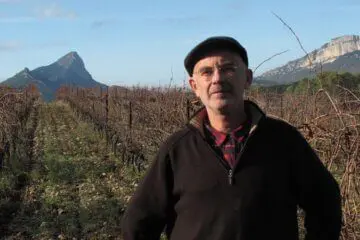 Jean-Luc Saumade et ses vignes