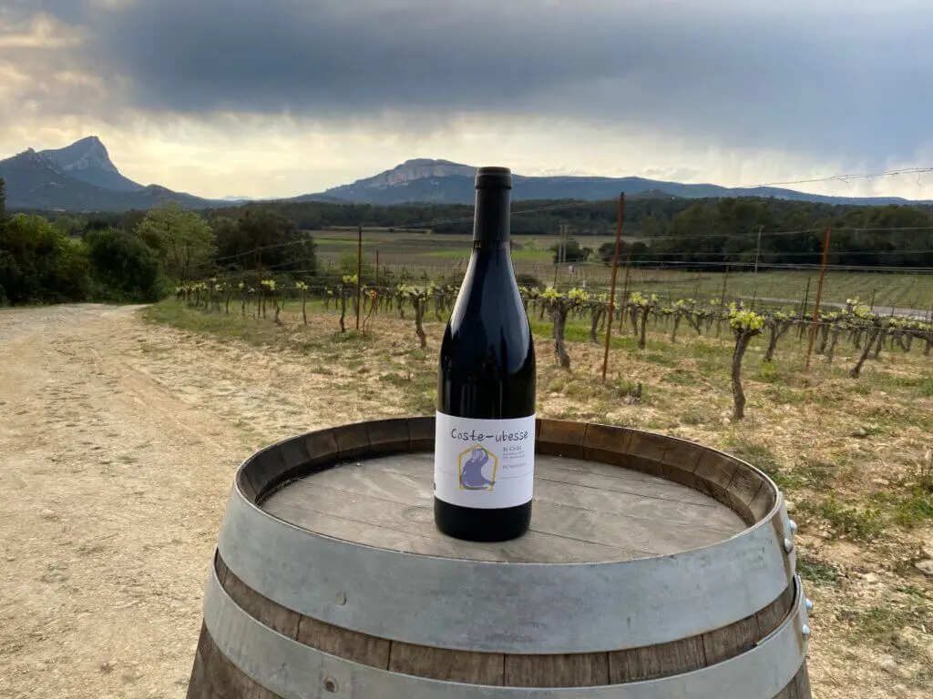 Le Cazal AOP Pic Saint-Loup 2019