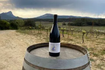 Le Cazal AOP Pic Saint-Loup 2019